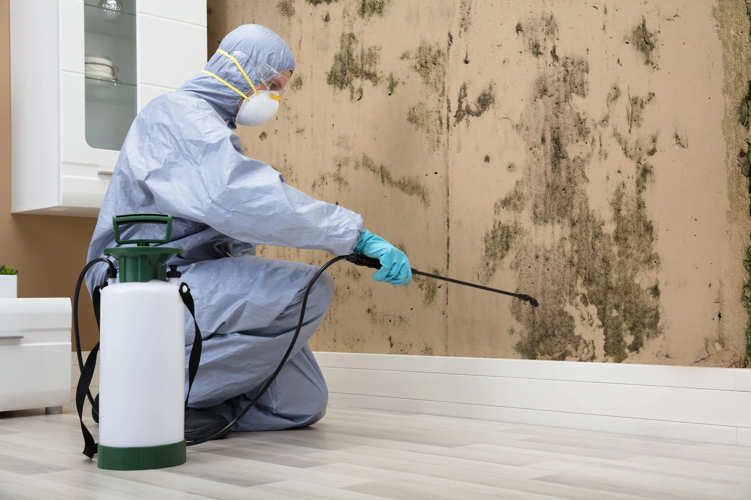 Mold Prevention