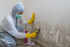 Professional Restoration Services