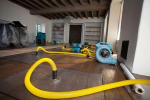 Why Immediate Action is Crucial for Water Damage Restoration
