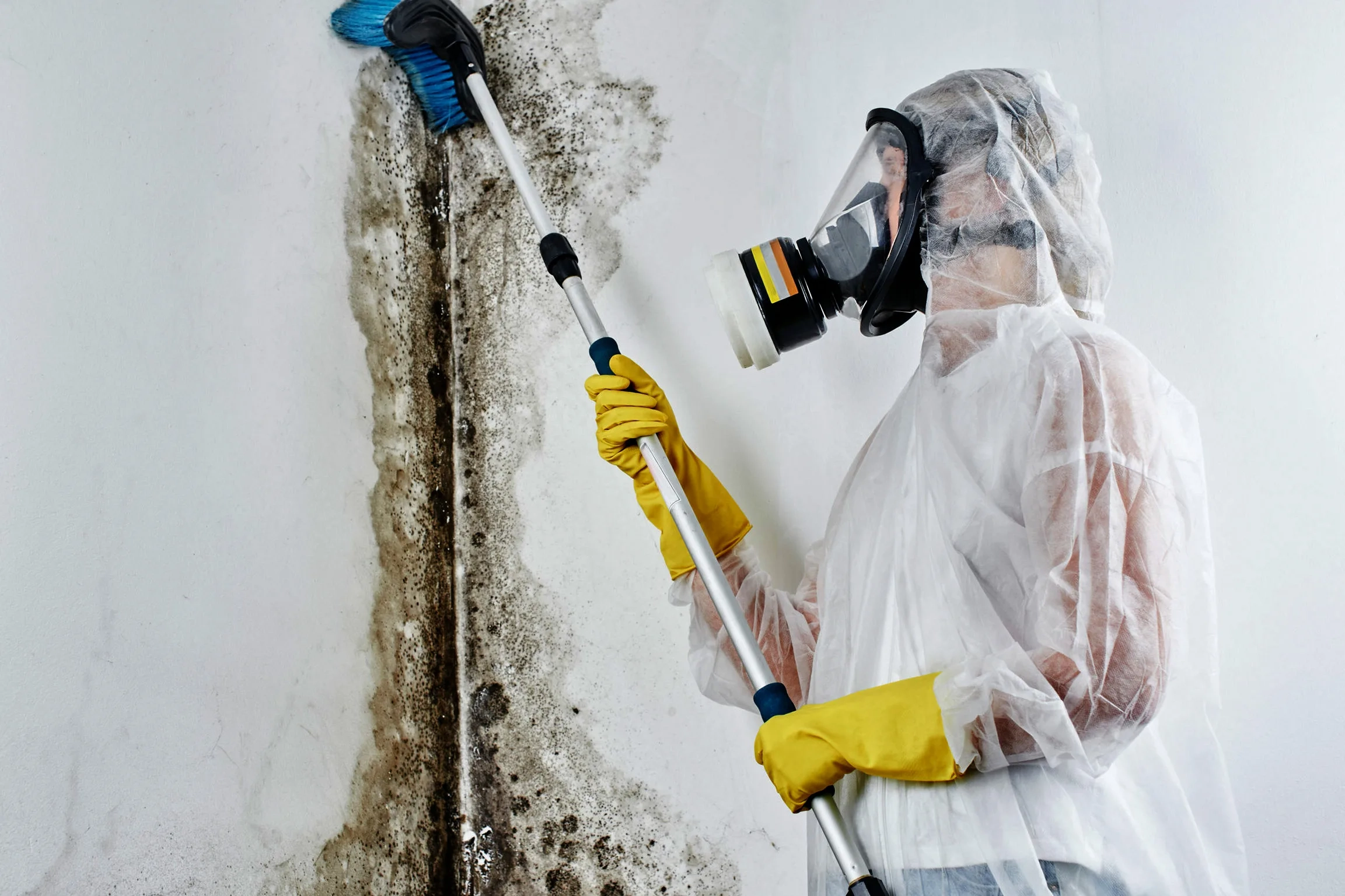 What Role Does Microbial Restoration Play in Water Damage Prevention?