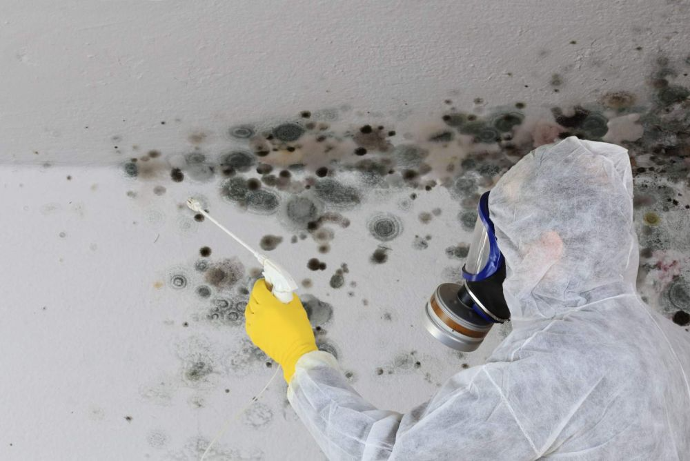 Why Microbial Restoration Is Vital After Water Damage