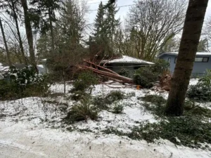 Why Should Beaverton Homes Get Storm Damage Repairs Quickly?